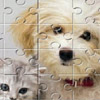 Giochi Puzzle canino