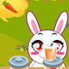 Rabbit Marathon Games