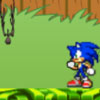 Jeux Sonic dans le jardin