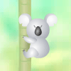 Bum-Bum Koala Spiele