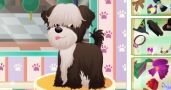 Doggy Salon