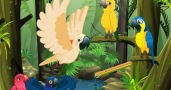 My Sweet Parrot