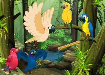 My Sweet Parrot