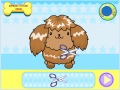 Peluquero de perros
