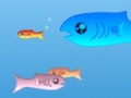 Fishy 1