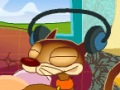 Cuida de tu gato