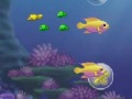 Fishy 7