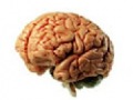 Test de Inteligencia