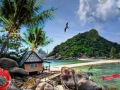 Tahiti's Pearls