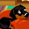 My Sweet Dog