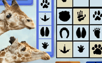 In dit leuke sudoku-spel kun je kiezen uit meerdere varianten: sudoku met gekleurde voetafdrukken, met getallen of met zwarte voetafdrukken. Hoe sneller je speelt, hoe meer punten er overblijven, dus denk goed en snel na!
