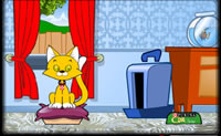 Kies een kitten en zorg goed voor hem tot hij volwassen is.