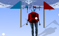 Je gaat skien. Probeer door de paaltjes heen te ski�n, want anders word je als je drie keer naast de paaltjes skiet gediskwalifiseerd. 