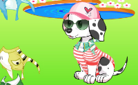 Probeer deze hond zo mooi mogelijk op te maken.