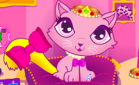 Kies een ring, halsband, naamplaatje en staartversiering voor deze lieve poes.