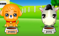 Jouw huisdiertje het katje, puppy en de pony hebben dringend je aandacht nodig. Verzorg ze goed door te geven wat ze willen hebben.