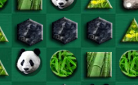 Behaal binnen de tijd zoveel mogelijk punten met deze leuke oerwoud-Bejeweled.