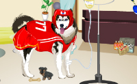 Deze hond zit bij de dierenarts. Maak hem blij met wat leuke kleertjes.