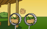 Je gaat met hamsters proberen om zo ver mogelijk een hamster te gooien. Je kunt heel hoog vliegen maar je kan ook vlak bij de grond vliegen, kijk zelf maar waarmee je het verste komt. Je hebt vijf kansen.