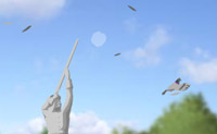 Probeer de vogels uit de lucht te schieten voordat ze je helemaal onder poepen.