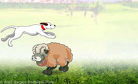 Help deze Herdershond om over alle schapen te springen.