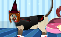 Het hebben van een huisdier is weer in de mode! Maar kan je wel goed voor je kat, hond, hamster of vis zorgen?