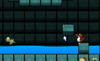Verzamel alle sterren om nieuwe deuren te ontdekken en zo het spel uit te spelen.