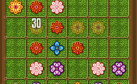 Plaats de bloemen strategisch en houd het bord schoon, want anders is het gauw over! Als er in een rij of kolom 2 of meer dezelfde bloemen staan, dan zullen die verdwijnen. Voor elke ronde verschijnt er een nieuwe bloem in het veld, maar elke ronde waarin er geen bloemen worden weggespeeld verschijnen 4 bloemen!