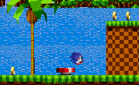 Je gaat eerst met Sonic door de level, daarna ga kom je bij de baas.