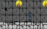 Verzamel alle munten met deze ninja om door te gaan naar de volgende level. Je kunt tegen muren aan springen of gebruik maken van je lasso om omhoog te klimmen.