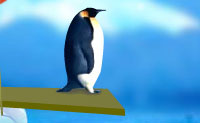 Help de pinguin om een mooie duik te maken in het ijskoude water. De duikplank staat klaar, en de pinguin bereidt zich voor op een frisse duik! Duik voordat je bij de vlag bent, draai meer rond om extra punten te verdienen, en zorg dat je niet op je buik landt!