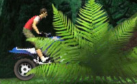 Conduz este poderoso todo-o-terreno atrav�s desta perigosa selva e tenta obter o m�ximo de pontua��o.