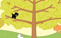 Help Coconut de hond en Licorice de kat om wat walnoten te verzamelen, die ze 's middags willen oppeuzelen. Pluk de walnoten uit de boom en gooi ze naar de dieren op de grond. Pas op dat je geen eekhoorns of vogels raakt, want daarmee verlies je energie. Die energie kan je weer opladen door appels te pakken, die je ook bonuspunten kunnen opleveren.