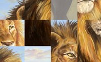 Kies ��n van de mooie dierenfoto's en probeer de puzzel in zo min mogelijk pogingen te maken.