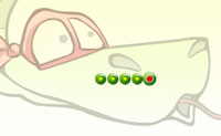 Een leuke variant op de klassieker 'snake'. Pak alle bolletjes, waardoor je slang steeds langer wordt. Pas dus op dat hij niet in zijn eigen staart bijt!