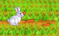 In dit zes levels tellende spel moet je de konijntjes ��n voor ��n verplaatsen om de wortels te verzamelen en de wortelmand te bereiken. Pas op voor de vallen!