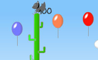 In dit spel moet je de cactus in de kruiwagen water geven om de vogels en ballonnen kapot te prikken, die steeds over je tuin vliegen. Zo verdien je punten, waarmee je meer water kunt kopen als je gieter leeg is. En let op voor die rotvogels, want als ze op je poepen ga je dood.