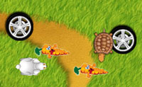 In dit uitdagende spel moet je een bepaald aantal wortels pakken voor je door mag naar het volgende level. Als je een hindernis raakt, zoals de bloemen, de autobanden of de schildpad, raak je een leven kwijt. Daarbovenop is er ook nog een vrij krappe tijdlimiet. Succes!
