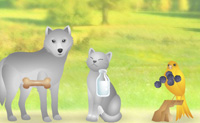 Neste jogo tens de dar a comida correcta ao animal correcto. Clica num grupo de comida para o trocares pela comida ao lado, at� que a comida fique por cima do animal que a come. Por cada combina��o certa ganhas 10 pontos. Por cada combina��o errada, perdes energia.