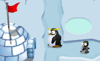 Um jogo de luta de pinguins, o que � muito raro. Habitualmente os pinguins s�o animais muito pac�ficos, que deixam os outros em paz e n�o tentam invadir o territ�rio dos outros. Mas desta vez h� guerra na Ant�rtida. Neste jogo de Defesa da Torre podes escolher tr�s �reas e tr�s n�veis de dificuldade. Coloca ursos polares em posi��es t�cticas, para defenderes o teu iglu contra pinguins hostis!