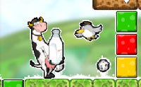 Klik op series van drie of meer bollen van dezelfde kleur om het vogeltje van kleur te laten veranderen. Zo kan het bovenop de doorzichtige vierkantjes springen die omlijnd zijn door de kleur die hij op dat moment heeft. Hierdoor vormen ze een soort brug, waar de koe overheen kan lopen. Ook de gekleurde smileys kan hij op die manier verpletteren. Zorg dus dat alle blokjes op tijd worden ingekleurd, zodat de koe niet in het ravijn valt! Je kunt de koe ook tijdelijk sneller laten lopen, door op 'boost' te klikken. Ook hier moet het vogeltje weer dezelfde kleur hebben als de 'boost'-knop: rood, blauw, geel of groen. Veel plezier!