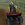 4WheelFury