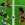 Fútbol 2