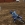 Motocross