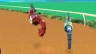 Shark Tale Race