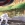 Street Fighter 6
