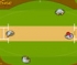 Cricket