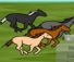 Sport hippique