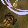 Tak Race