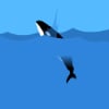 Delphin Jagd Spiele